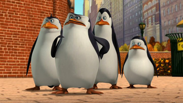 confused penguins